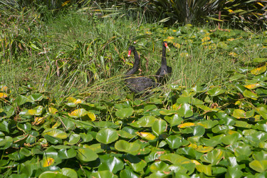 Similar image 21276713