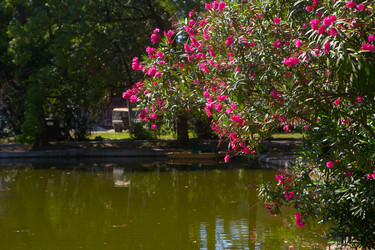 Similar image 21276722