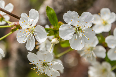 Similar image 21260320