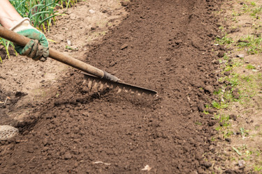 Similar image 21260321