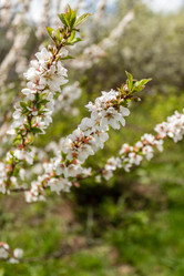 Similar image 21260322