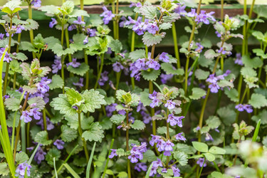 Similar image 21260323