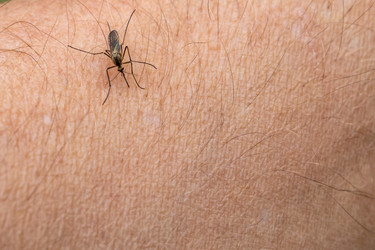 Similar image 21260325