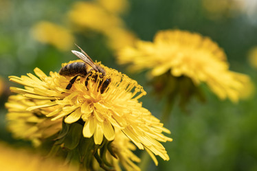 Similar image 21260539