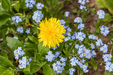 Similar image 21260540