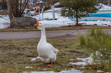 Similar image 21260541