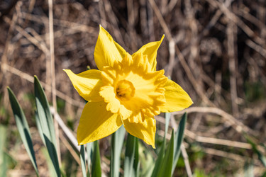 Similar image 21260551