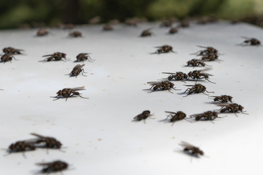 Similar image 21260327