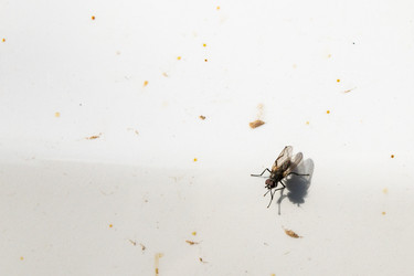 Similar image 21260330