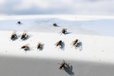 Similar image 21260331