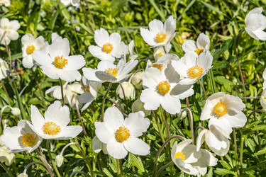 Similar image 21260332