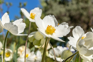 Similar image 21260333