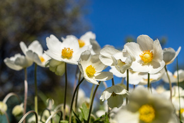 Similar image 21260334