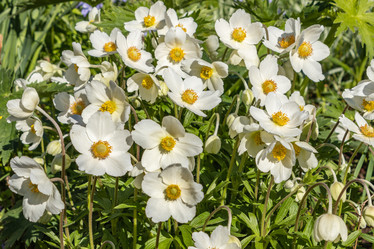 Similar image 21260552