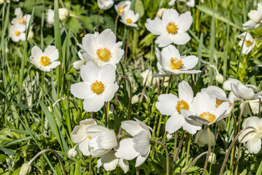 Similar image 21260554