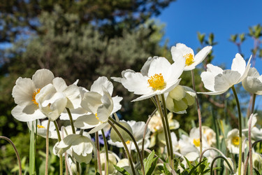 Similar image 21260555