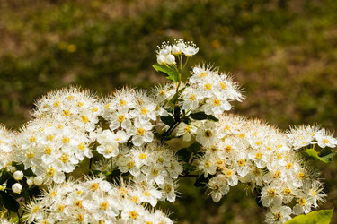 Similar image 21260562