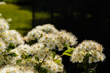 Similar image 21260564