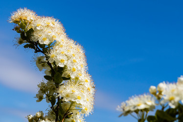 Similar image 21260565