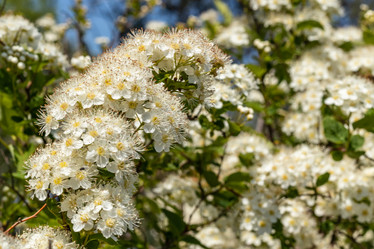 Similar image 21260567