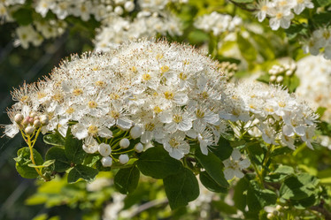 Similar image 21260569