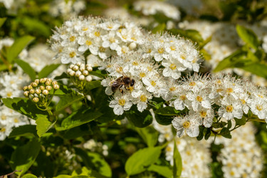 Similar image 21260919