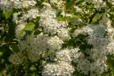 Similar image 21260921