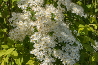 Similar image 21260922