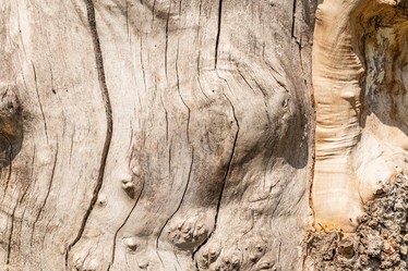 Similar image 21260923