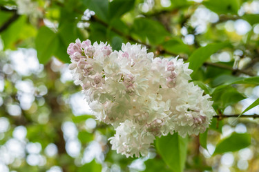 Similar image 21263752