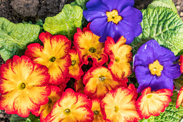 Similar image 21263753