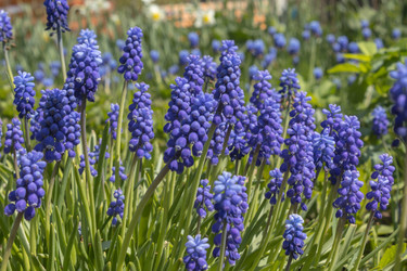 Similar image 21264602