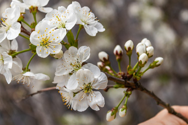 Similar image 21264603