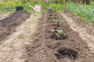 Similar image 21264604