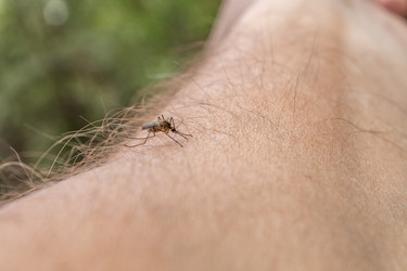 Similar image 21265559