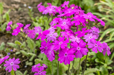 Similar image 21265560