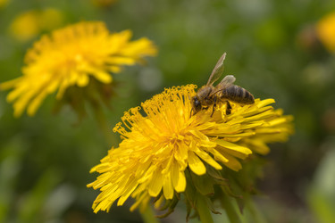 Similar image 21265561