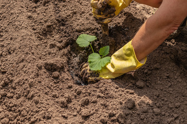 Similar image 21260335