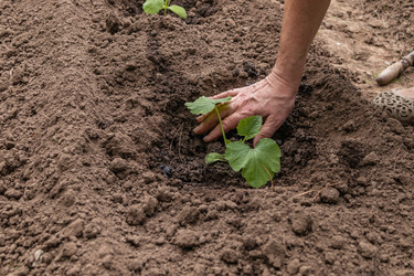 Similar image 21260336