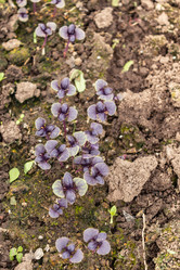 Similar image 21260337