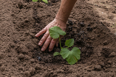 Similar image 21260338