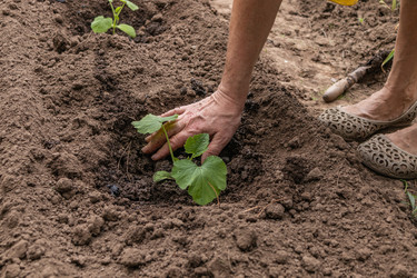 Similar image 21260339