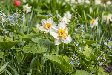 Similar image 21260340