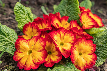 Similar image 21260342