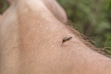 Similar image 21260572