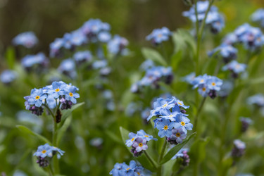 Similar image 21260573