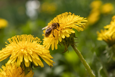 Similar image 21260574