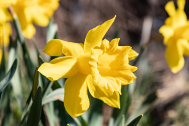 Similar image 21260585