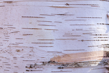 Similar image 21266547