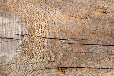 Similar image 21266862